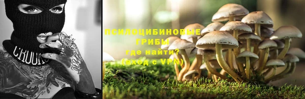 Альфа ПВП Инта