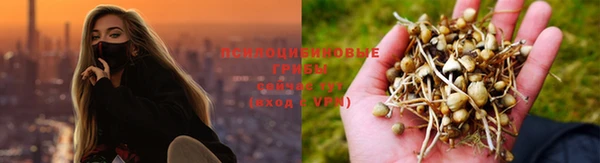 метамфетамин Гусь-Хрустальный