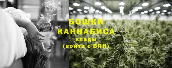 скорость Гусев