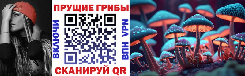 Купить закладки  Козьмодемьянск  Галлюциногенные грибы GOLDEN TEACHER 