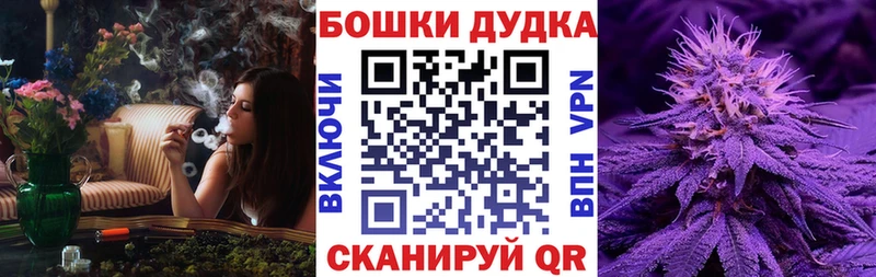 Купить закладки  Козьмодемьянск  Каннабис AK-47 